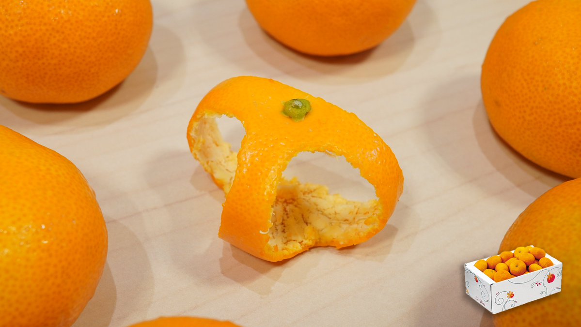 nomakajuen's tweet image. この夏も、いいパンツが採れました。

さておき、6/16 23:59までにフォロー＆リポストで2名様にめちゃ甘いハウスみかん1.2kgをあげます。