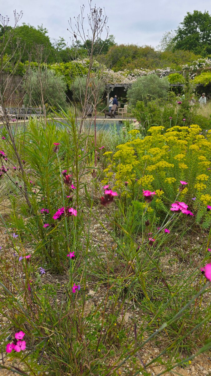 Great day out @KneppWilding touring the inspired rewilded gardens. Had a truly delicious meal at <a href="/KneppKitchen/">Knepp Wilding Kitchen & Shop</a>