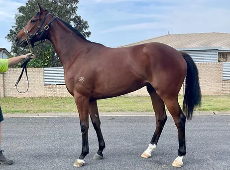 High Calibre Racing tweet media