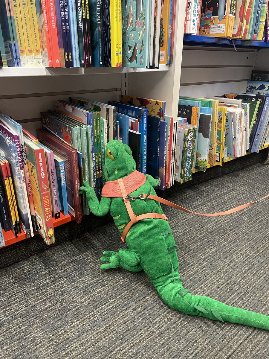 vromansupstairs's tweet photo. Pete stopped in to check out our Children’s reptile section! Tag us in your Vroman's dog (and other pet) pictures with #dogsofvromans. 🦎🐾❤️ https://t.co/ERgEMksTfd