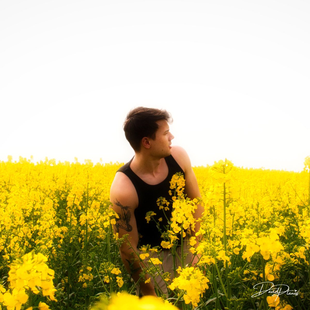 itsdavidplanes's tweet photo. GARDEN OF EDEN
OUT ON ALL PLATFORMS https://t.co/YQw6BWYw8E