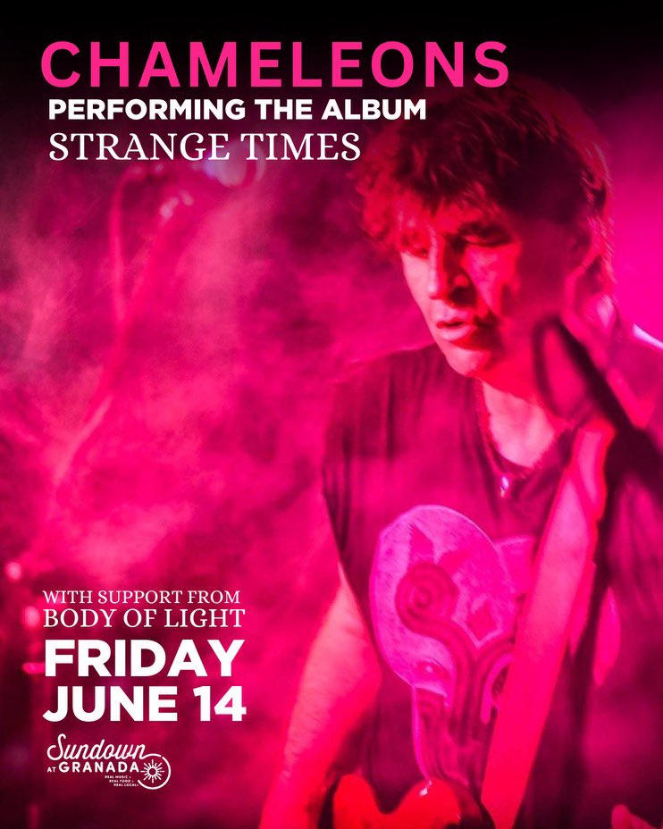 Body of Light tweet media