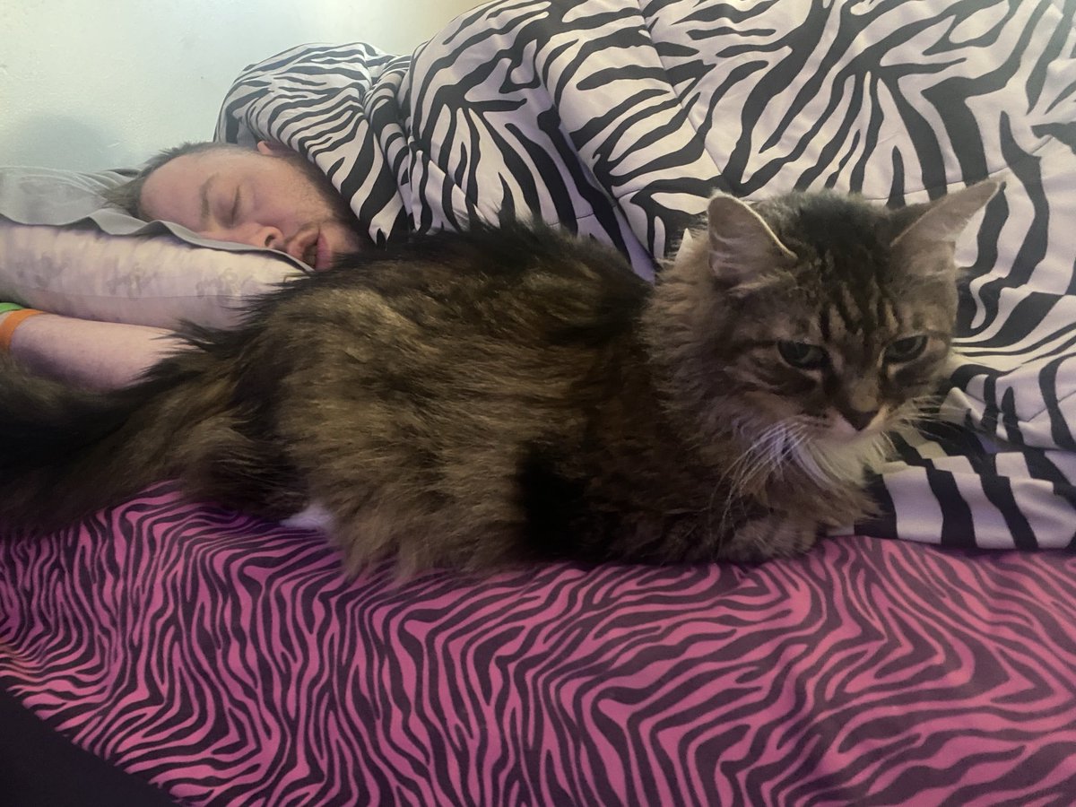 TheGentJK's tweet photo. My daughter took this photo of me this morning… #GirlDad #ProDad https://t.co/wj0M6hsTxg