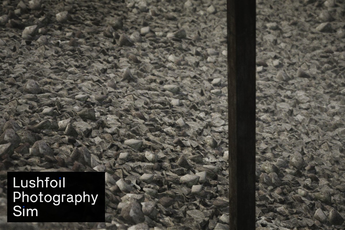 spirxlhexd's tweet photo. lushfoil photography sim's demo is grabbin me by the throat https://t.co/sfTFCtmWDI