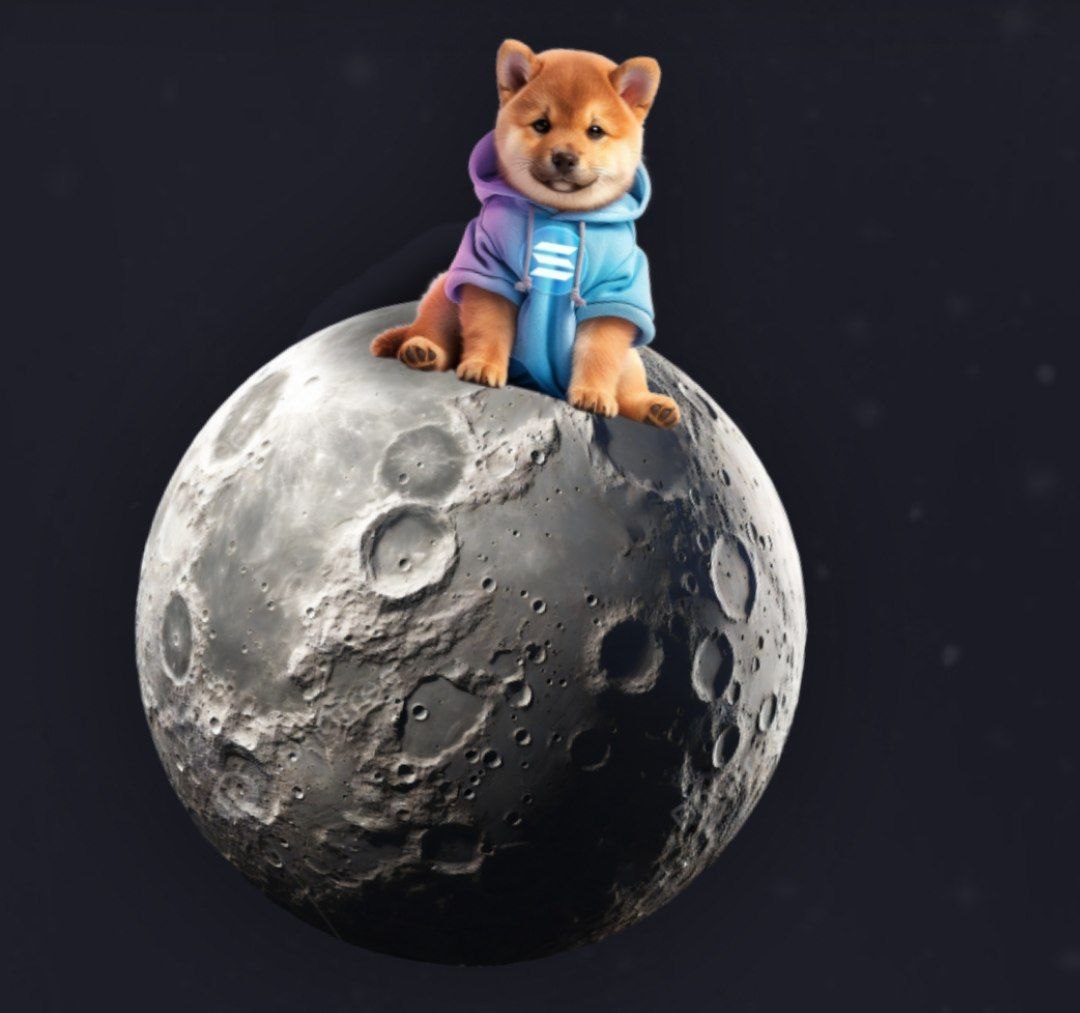 DOGINUMEME's tweet image. 🚀🌕 HEY, DOGINU ARMY! 🌕🚀

Are you eager to reach the Moon with the new DOGINU trend on the Solana network? 🌟

Remember, we need your continued support to make it happen! Stay strong and let&apos;s take $DOGINU to new heights together! 🐶#DOGINU #ToTheMoon #DOG #MemeCoin…