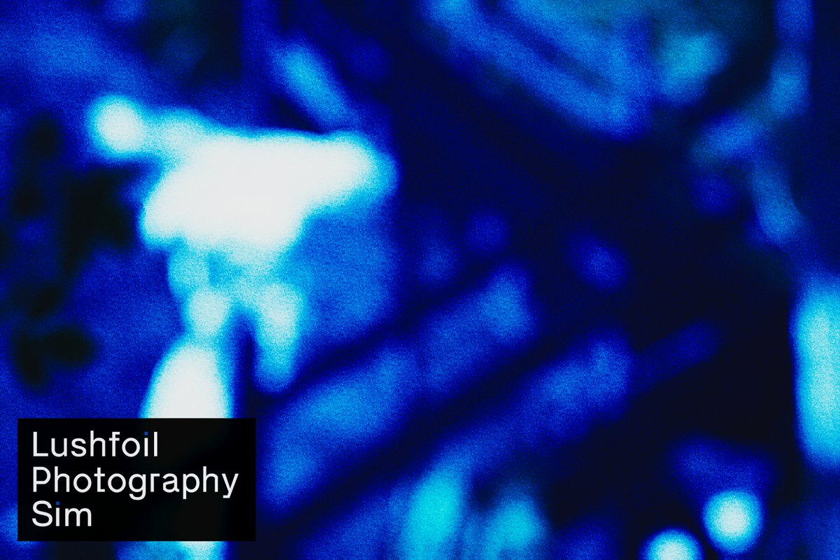 spirxlhexd's tweet photo. lushfoil photography sim's demo is grabbin me by the throat https://t.co/sfTFCtmWDI