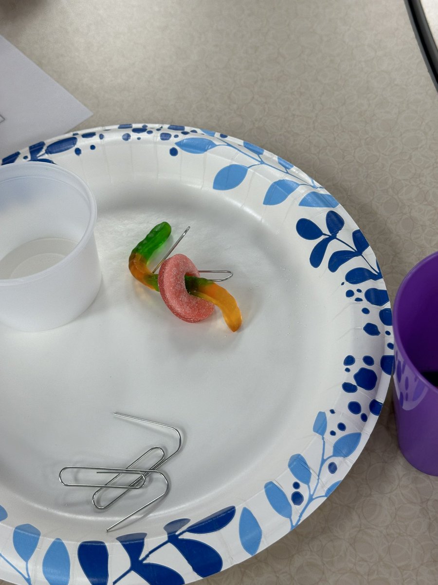 Library STEM Challenge Week 2:  Save Fred! These 2nd and 3rd graders did a great job working together! 
<a href="/MHPatriot/">Manor Hill</a> <a href="/LPSSummerAdv/">LPS Summer</a>