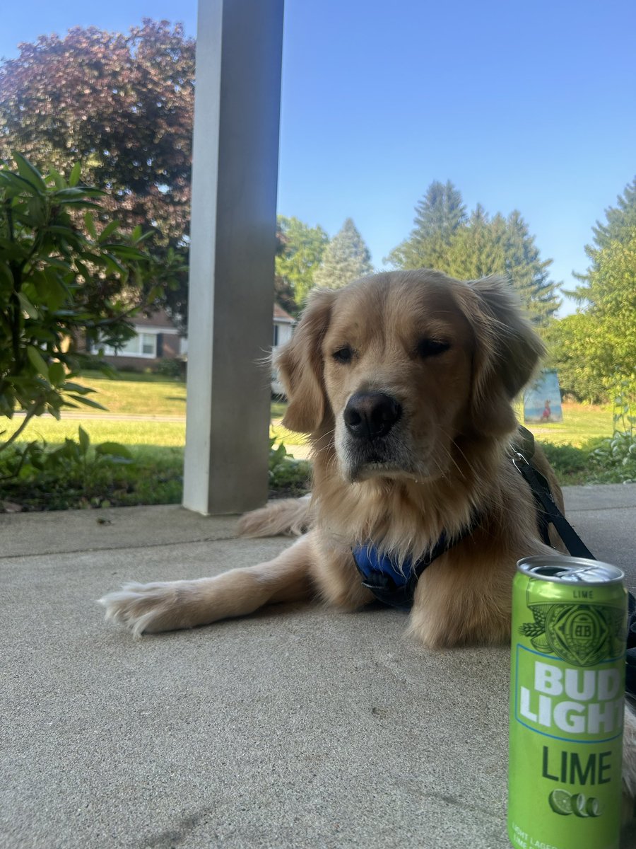 bllszn's tweet photo. One peanut butter lick mat stolen in the making of this photo #BLLSZN https://t.co/4wK3eGQbQO