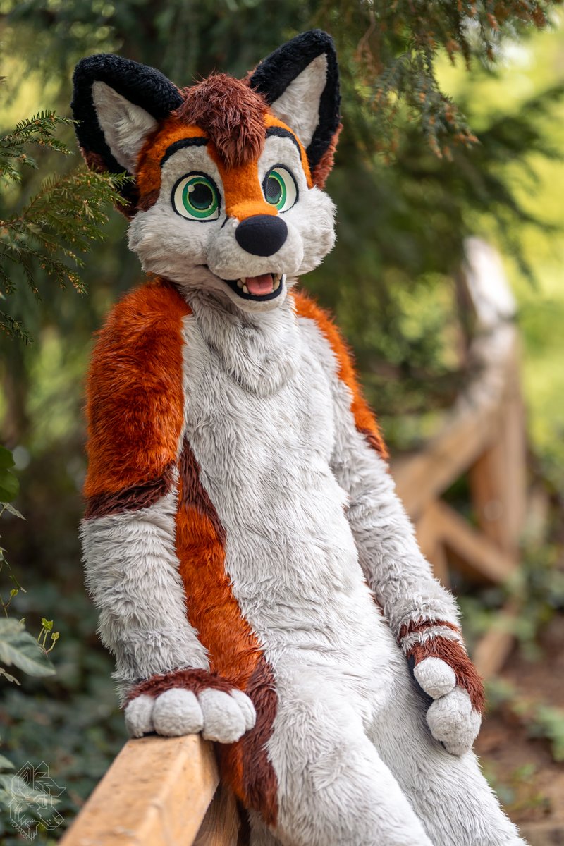 What brings you here? 🌳
📷: <a href="/vlaaacek/">VlaceK</a> 
#FursuitFriday