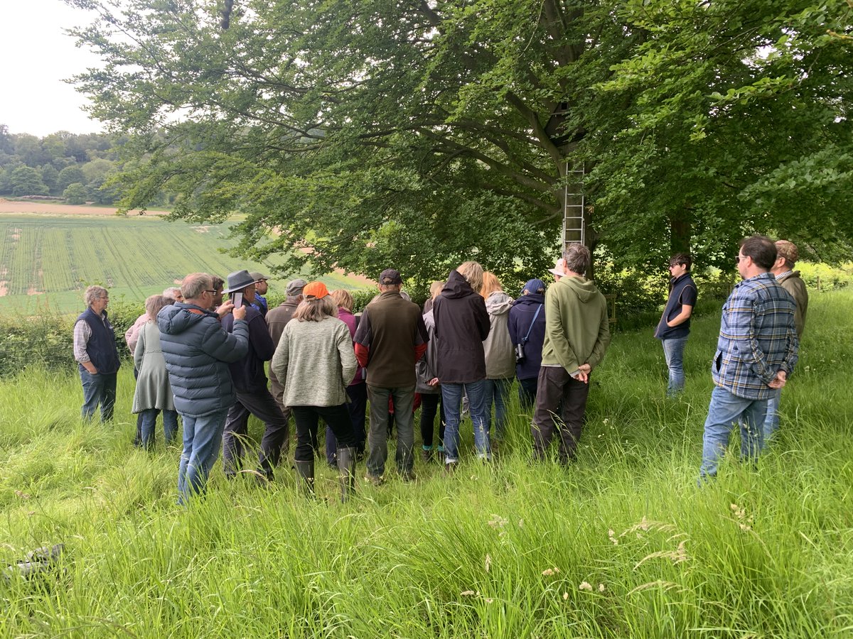 kentdowns6's tweet photo. A big thx to Ben and team @Gamekeeper10  at Godmersham, John @Sandwichbirdobs &amp; @andrefarrar for a superb morning for our east kent downs farmers learning all about barn owl conservation &amp; showcasing the farm's impressive work for breeding lapwing, turtle dove, grey part &amp;more🦉 https://t.co/2MpmlRpU57
