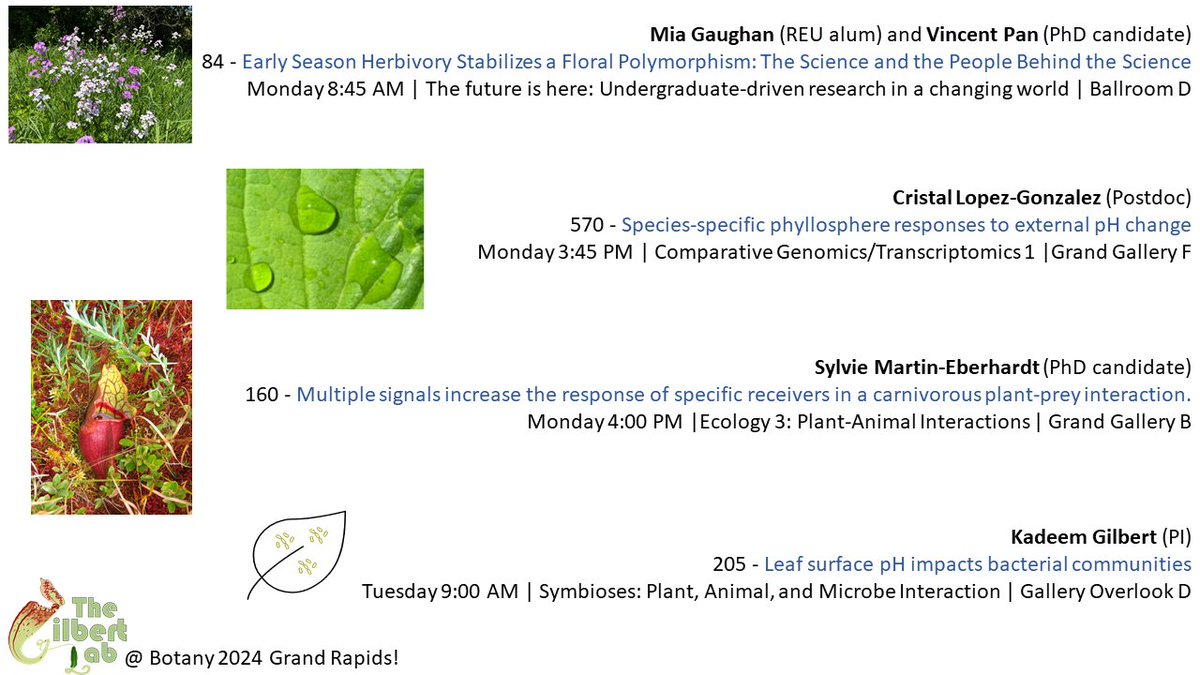 Kadeem Gilbert tweet media