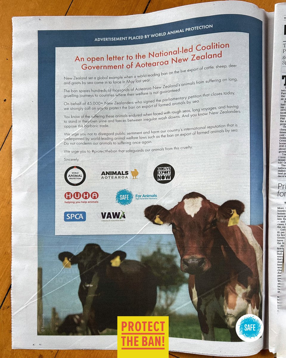 SAFEnewzealand's tweet photo. Our friends at @MoveTheWorldAU  have published this open letter in the @nzherald today calling on the Government to maintain #NZ's ban on live export.

If you haven't signed the petition yet, we urge you to take a stand against this horrific industry: https://t.co/uEZLxonzQY https://t.co/8YYCtMNkE9