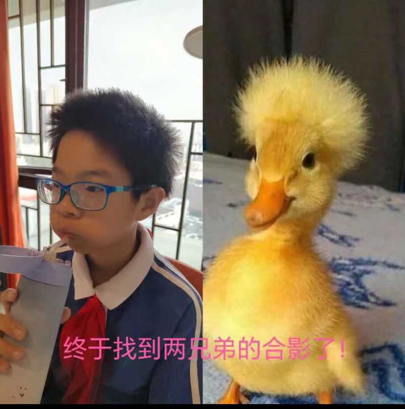 yorkliu7's tweet photo. 哈哈哈 https://t.co/xZoEzltKB8