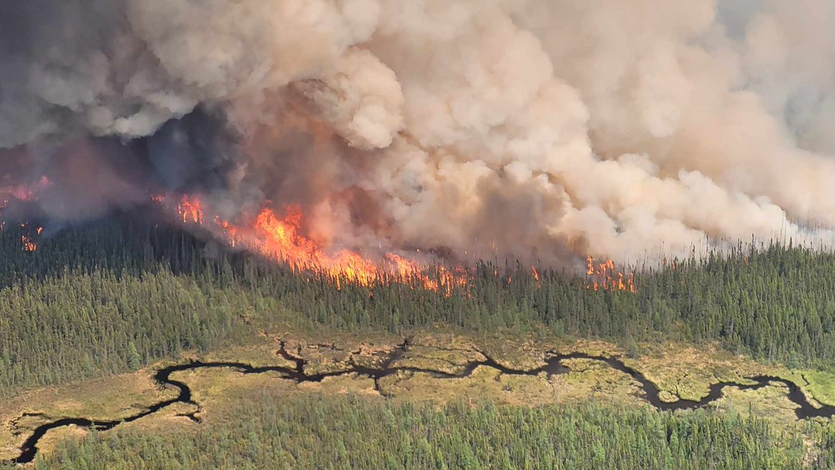 Cochrane 9, est maintenant 'sous observation'. Suite à des périodes de pluie significatives, son comportement est désormais minime. Il sera surveillé pour permettre aux bénéfices naturels des feux de s'exercer dans la forêt du Grand Nord. Photos: Chad Porter, Tech. des opérations