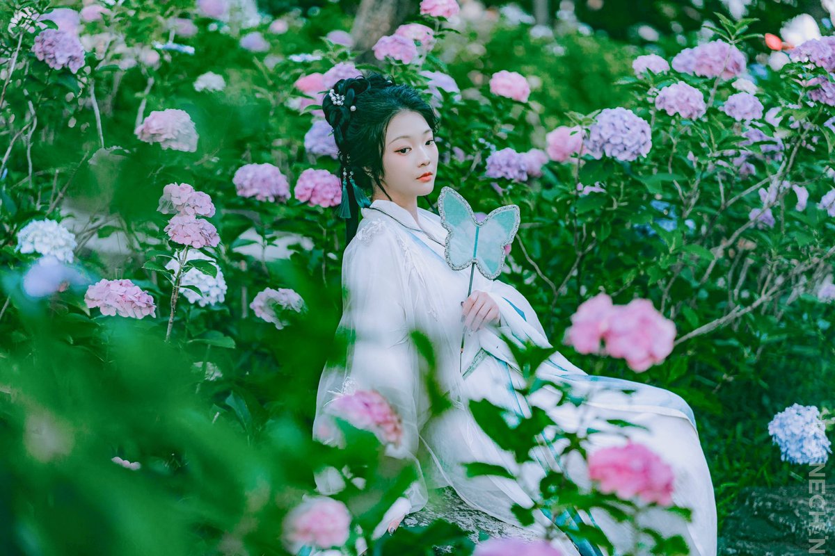 keane1988's tweet photo. 「紫陽花」

#ポートレート 
#ポートレート撮影 
#被写体募集中 
#写真撮ってる人と繫がりたい 
#写真好きな人と繋がりたい
#撮影依頼受付中
#汉服 
#写真で伝える私の世界 https://t.co/ODJUvjTFhL
