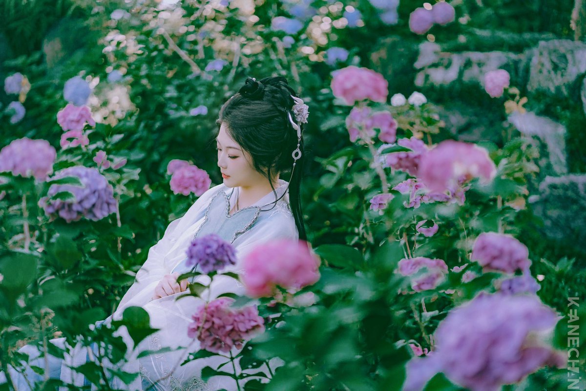 keane1988's tweet photo. 「紫陽花」

#ポートレート 
#ポートレート撮影 
#被写体募集中 
#写真撮ってる人と繫がりたい 
#写真好きな人と繋がりたい
#撮影依頼受付中
#汉服 
#写真で伝える私の世界 https://t.co/ODJUvjTFhL