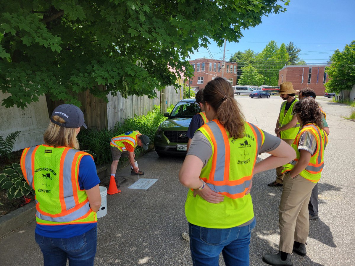 MyPortlandWater's tweet photo. To celebrate Clean Water Week, we teamed up with @CityPortland to stencil messages on storm drains to remind the public that pet waste and other garbage dumped in drains flows directly into Casco Bay. Let's work together to keep Casco Bay clean. #CleanWaterWeek #ProtectCascoBay https://t.co/UjdM9DiRiH