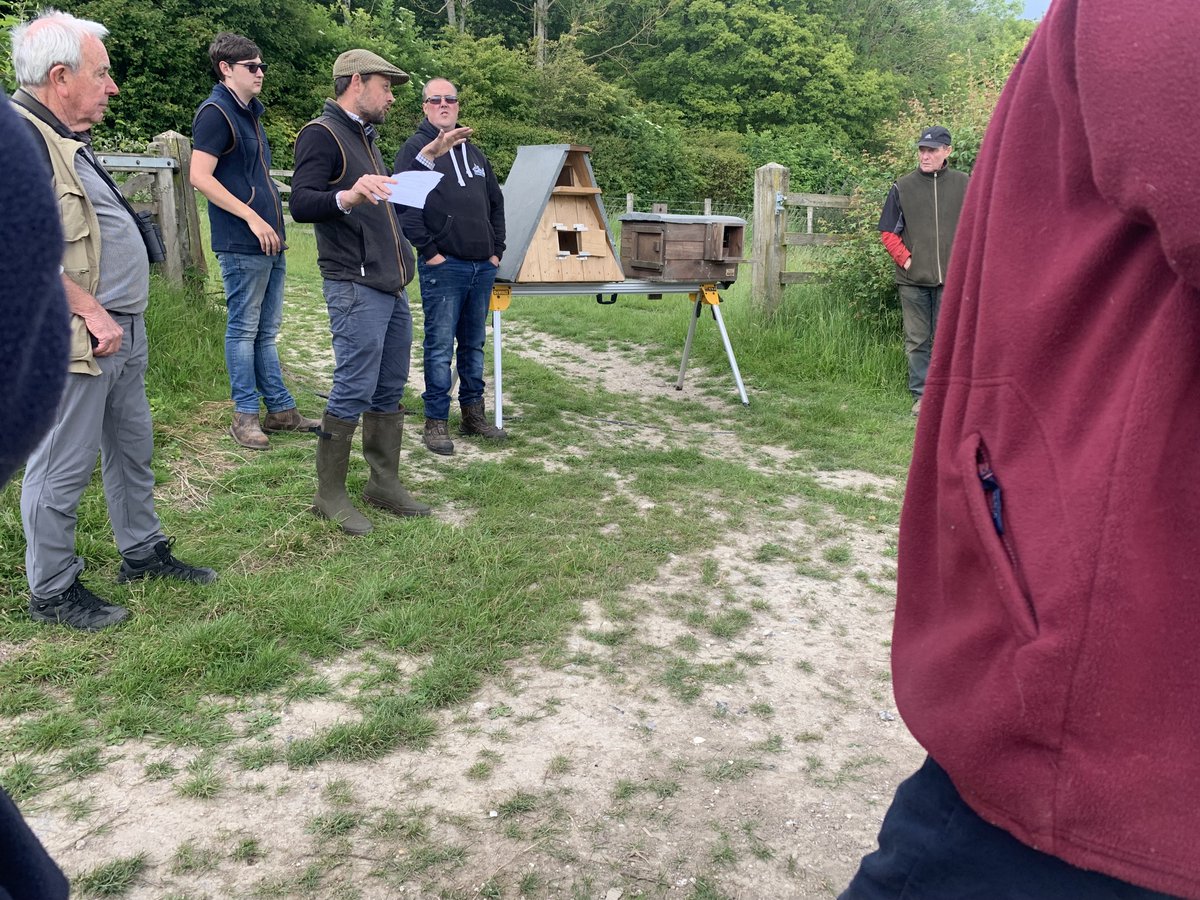 kentdowns6's tweet photo. A big thx to Ben and team @Gamekeeper10  at Godmersham, John @Sandwichbirdobs &amp; @andrefarrar for a superb morning for our east kent downs farmers learning all about barn owl conservation &amp; showcasing the farm's impressive work for breeding lapwing, turtle dove, grey part &amp;more🦉 https://t.co/2MpmlRpU57