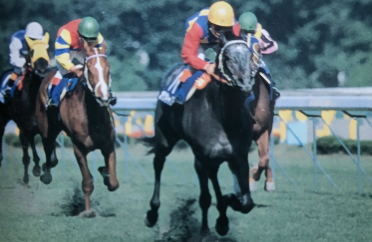 オグリキャップ 中央競馬に移籍したのは1988年の春。5月には京都4歳