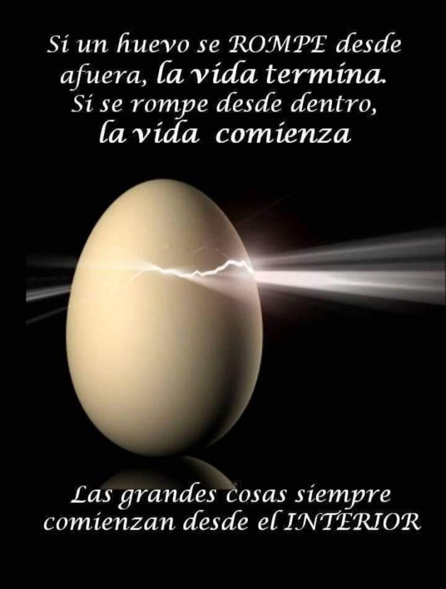 Dr. Alberto Blázquez tweet media