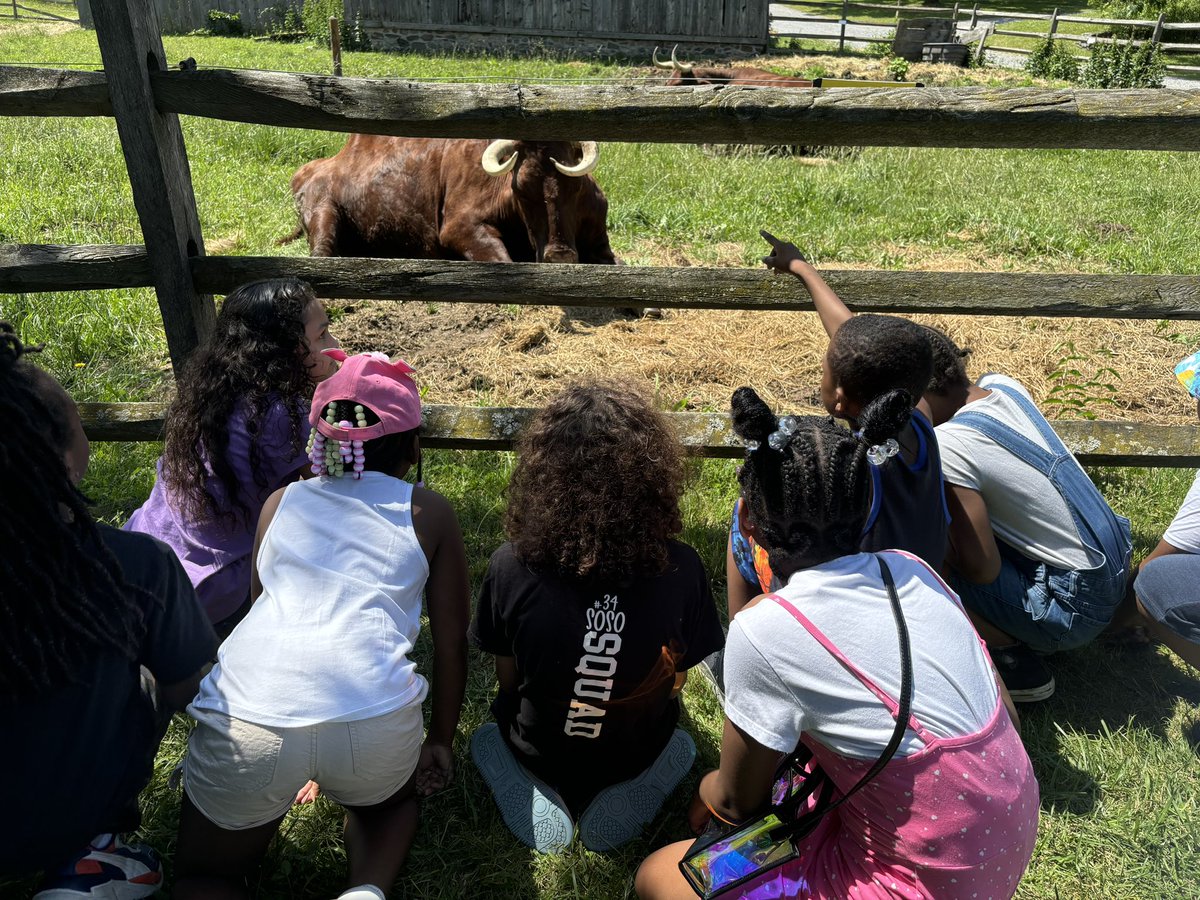 RCSD School #34 tweet media