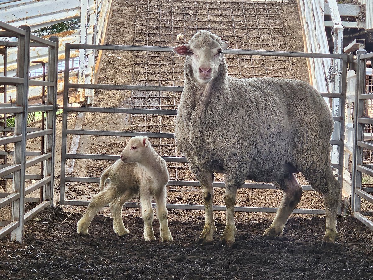 Mark Mortimer tweet media