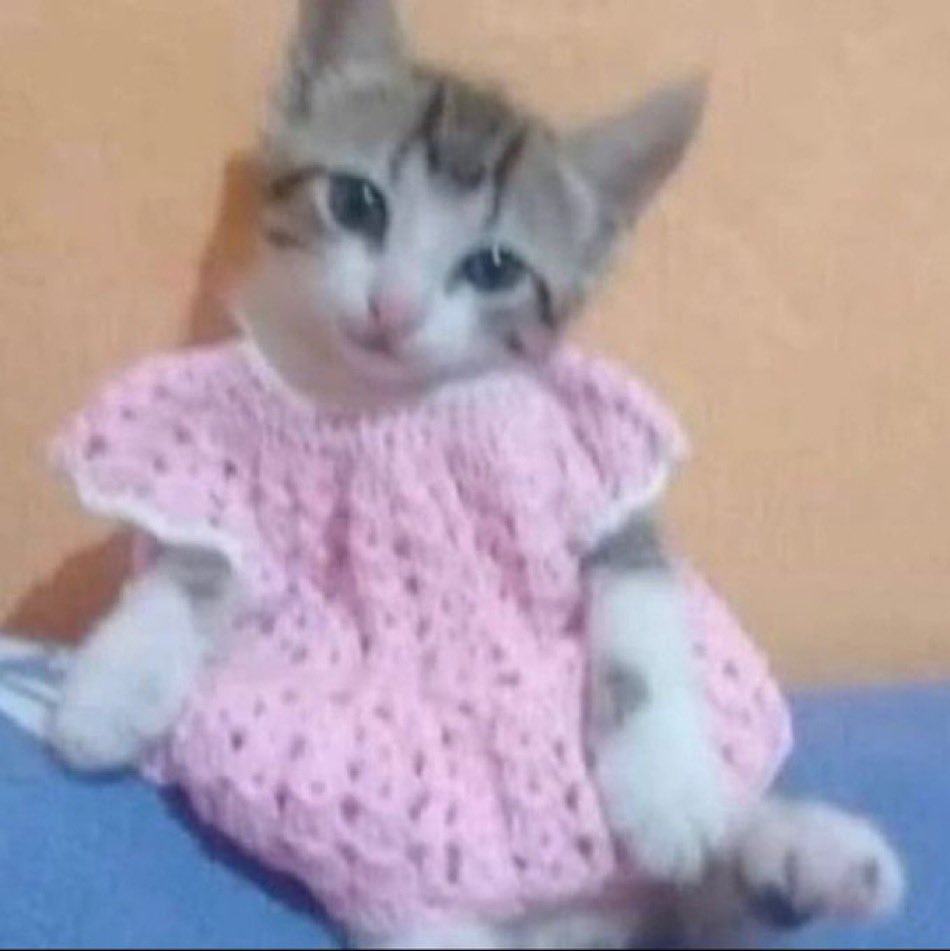 arroztemperado's tweet photo. Agora posso curtir porno furry sem medo de ser julgado https://t.co/fOCWupAddg