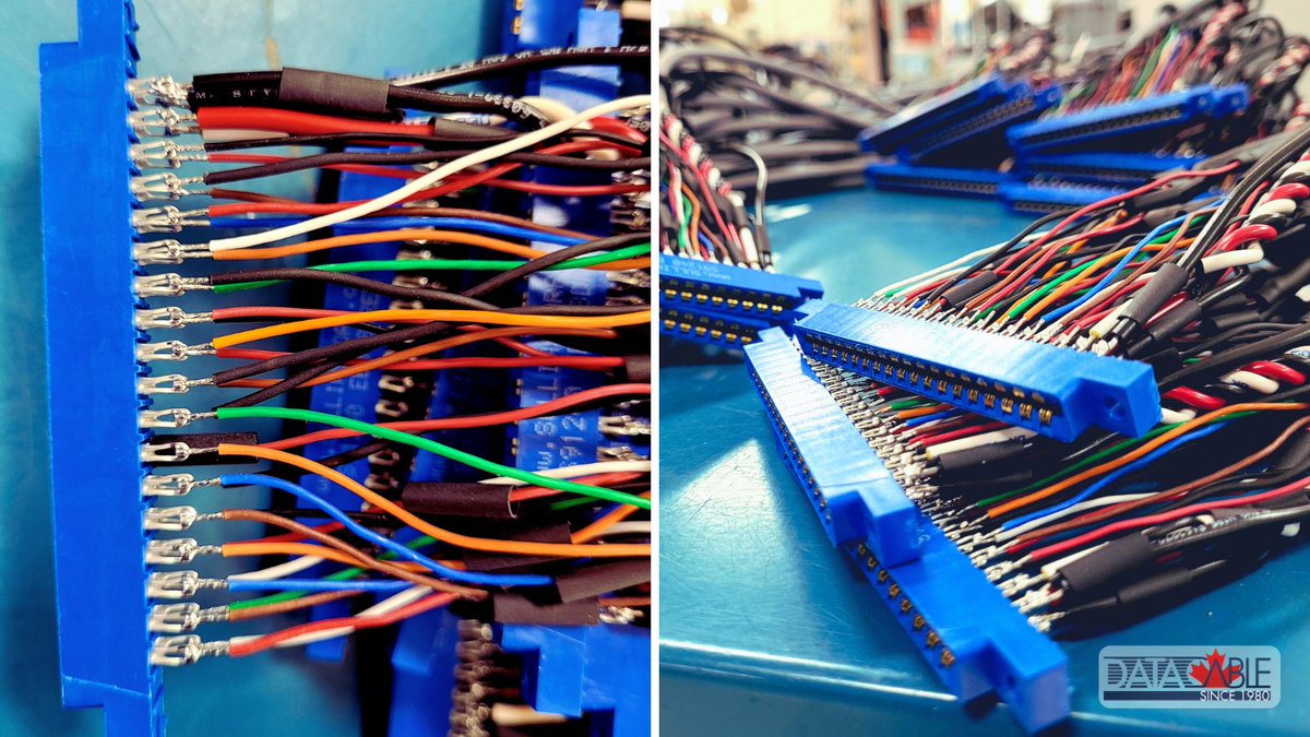 DataCableCoInc's tweet photo. There’s always a variety of builds on the go, like these, which are for Nuclear applications. We’re a full #interconnect solutions partner for Power &amp; Nuclear #OEMs. Learn more: https://t.co/rvuZNxDmwP

#DataCable #ConnectivitySolutions https://t.co/iNtVBPR2CA
