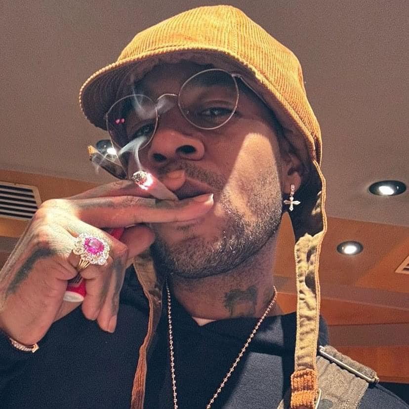 Herbworthy's tweet photo. "Struggle is the enemy, but weed is the remedy." - @KiDCuDi https://t.co/0vohn4OHPQ