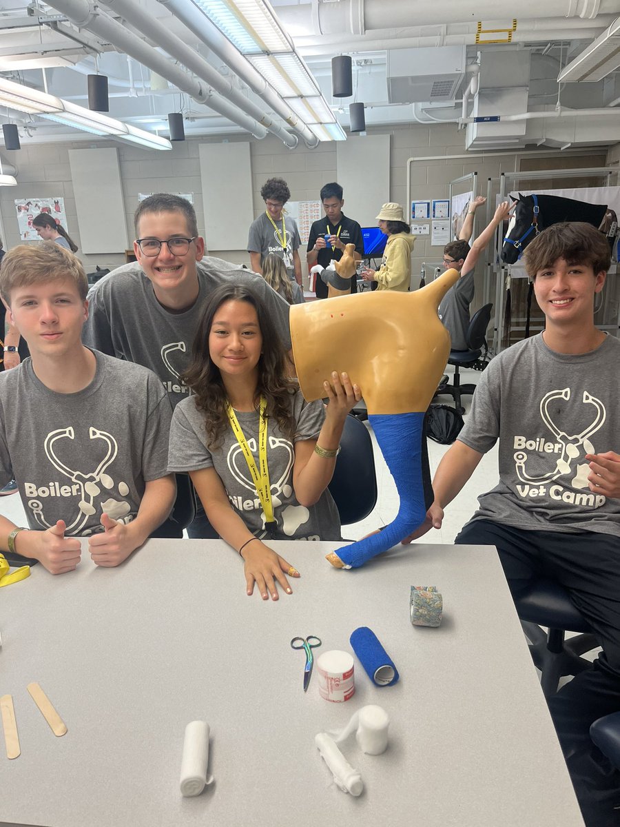 BoilerVetCamp's tweet image. #TeamDiesel practiced their bandaging skills on a dog model today and then on me 😂🩹
