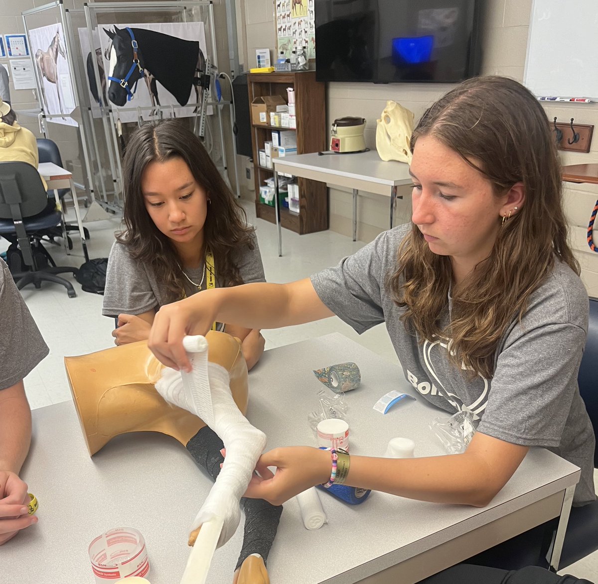 BoilerVetCamp's tweet image. #TeamDiesel practiced their bandaging skills on a dog model today and then on me 😂🩹