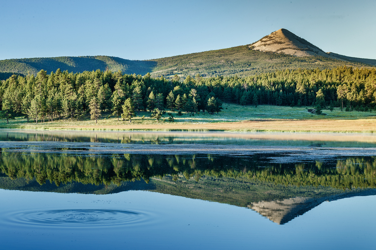 "First time visiting the reserve and it was absolutely beautiful." - Trish O.