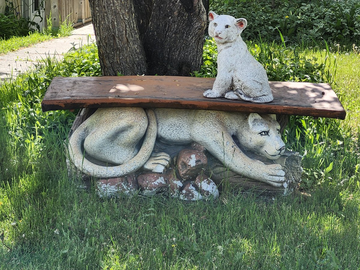 WalkingCalgary's tweet image. Today was another 2 walk day for us, covering a total of 6.33 km.  Our first walk was our fourth and final walk in #Highwood.

mapmywalk.com/workout/799009…

#Calgary  #yyc