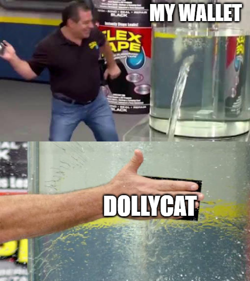 DollyCatToken's tweet photo. When your wallet needs some serious support, DollyCat Token (DOCAT) has you covered! 🐾💸 With our latest 100 million $DOCAT burn, we're making your investments stronger and more secure. Join the cat revolution that's purr-fectly built for the future! 🚀🔥 #DollyCatToken #Crypto #TokenBurn #InvestSmart