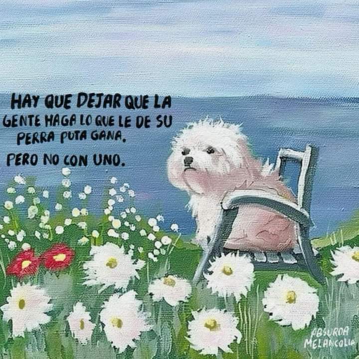 Absurda Melancolía (@absurdamela) on Twitter photo 