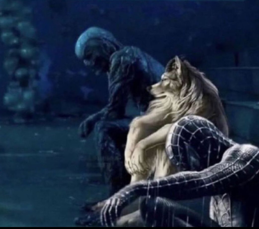 omeo 𖤐 tweet media