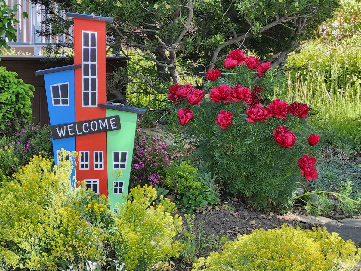 WalkingCalgary's tweet image. Front Yard Flowers and Plants from #Highwood

#Calgary  #yyc