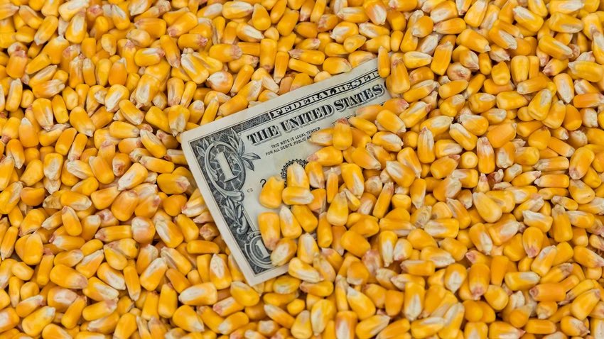 TheCorns0's tweet photo. corn https://t.co/bA9Zhn0ugX
