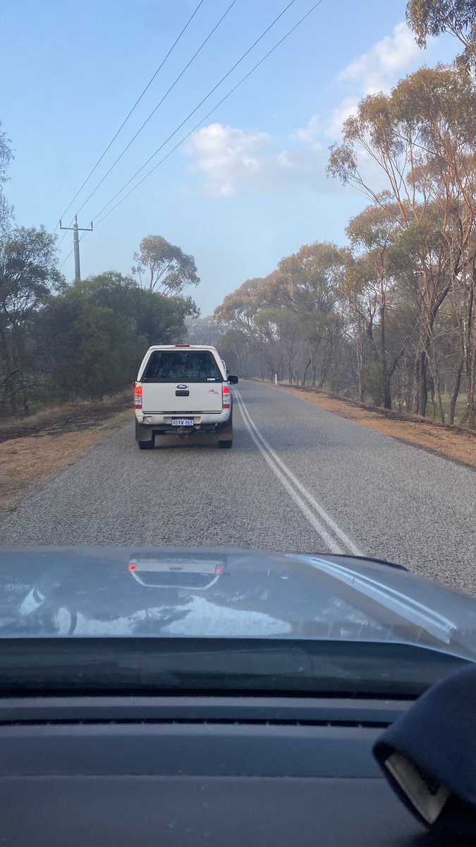 steve_noa's tweet image. 3 kns out from Muresk and we're bumper to bumper 
💪💪 #keepthesheep