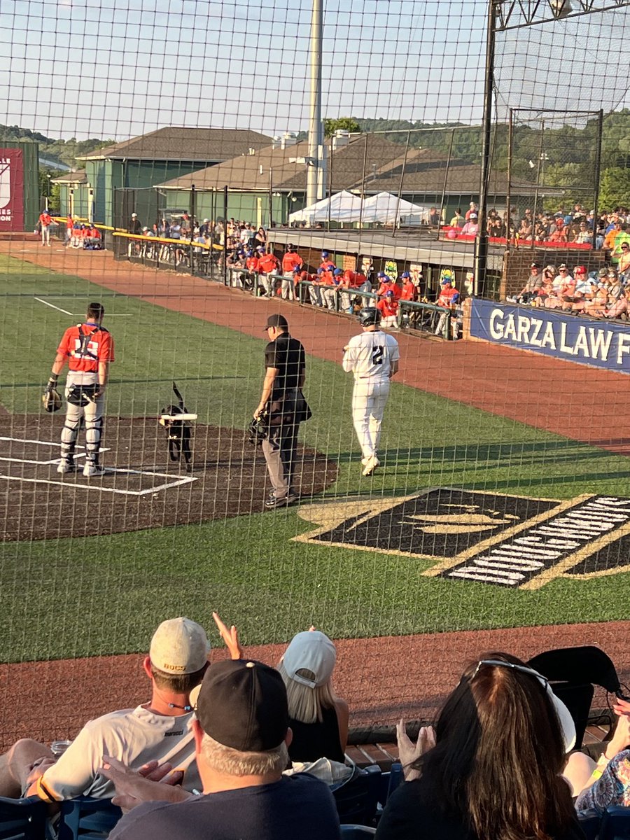 Dwaine_UTCIS's tweet photo. Nice night to cheer on the ⁦@JC_Doughboys⁩ #checkout Rocky the bat-dog! https://t.co/lbpOsQS4D0