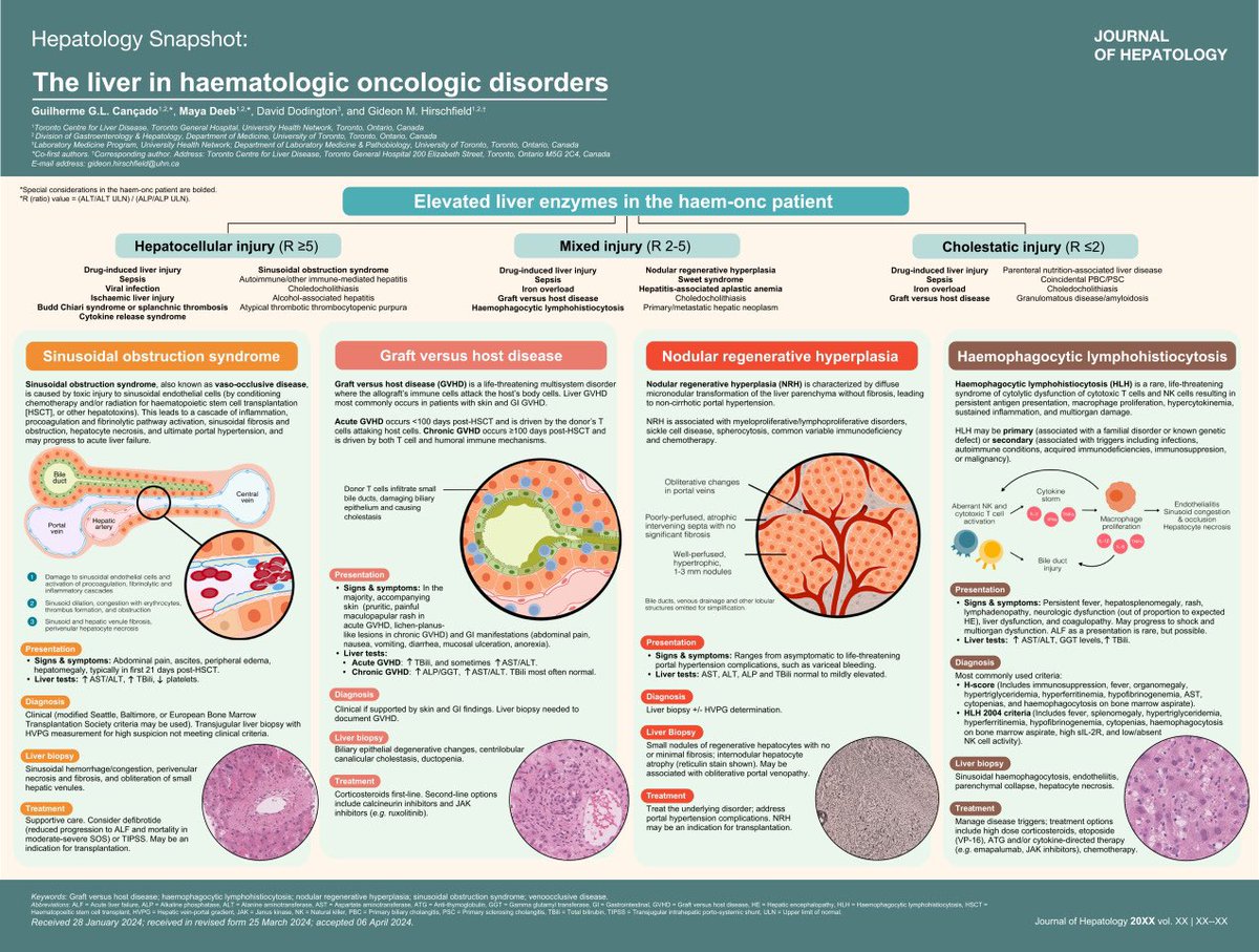Maya Deeb (@themayadeeb) on Twitter photo Teamed up with <a href="/gui_cancado/">Guilherme Grossi, MD, MSc, PhD</a>, David Dodington and Gideon Hirschfield to bring you another illustrated summary in <a href="/JHepatology/">Journal of Hepatology</a>: Common liver manifestations of hemeonc disease🩸
One to bookmark! 📌
authors.elsevier.com/c/1jFs7cOnAUbQj Teamed up with <a href="/gui_cancado/">Guilherme Grossi, MD, MSc, PhD</a>, David Dodington and Gideon Hirschfield to bring you another illustrated summary in <a href="/JHepatology/">Journal of Hepatology</a>: Common liver manifestations of hemeonc disease🩸
One to bookmark! 📌
authors.elsevier.com/c/1jFs7cOnAUbQj