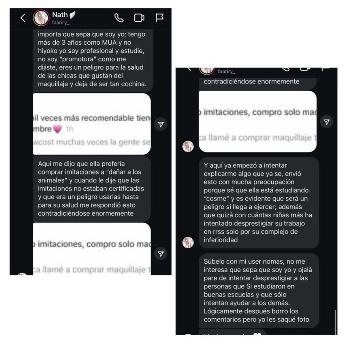 wakoverso's tweet photo. Fairy comenzó a subir contenido a TT informartivo DE MAQUILLAJE y Pía sin conocimiento le dijo a fairy que el maquillaje imitación no testeaba en animales a lo que fairy le corrigió diciendo que todas las imitaciones nisiquiera están certificadas. https://t.co/7qwTWszO64