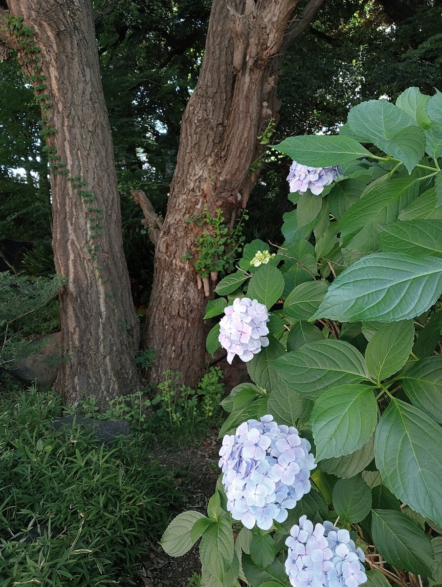 撮影ー！
現場近くに「開運」って書いてあるお寺があったから、お参り。
良き。
行ってくるー。