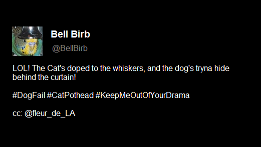 fleur_de_LA's tweet photo. #HashtagFail with #CatPothead.🥲
#SocialMediaSlipUps
*This is a fake toot image I did for a Mastodon game. There's more I regret, but the hashtag's worst.🥲
**Another slipup would probably be not creating a Bell Birb account.
🔔
🦜 https://t.co/VIVd8U5tHZ