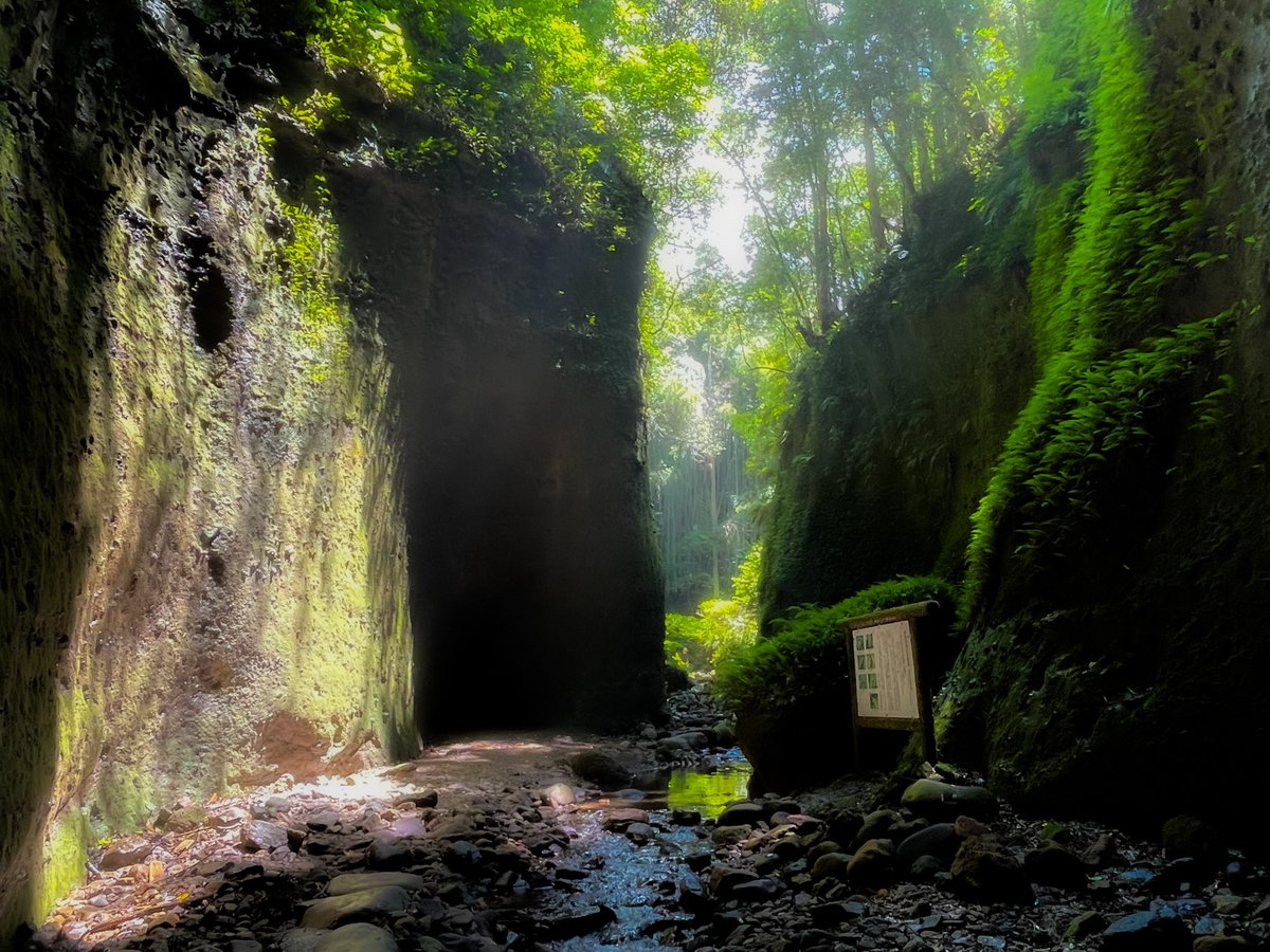 tomo048471981's tweet photo. 2024.06.12 伊尾木洞（高知県安芸市）
朝ドラ「らんまん」のロケ地、伊尾木洞。
洞窟を抜けるとそこは… https://t.co/gBVkSCmvVI