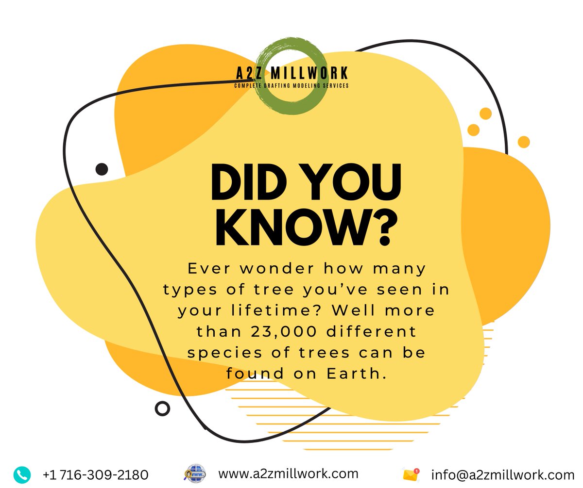 a2zmillwork's tweet photo. 🌳 Did You Know? 🌍 
Ever wonder how many types of trees you've seen in your lifetime? 
There are over 23,000 different species of trees on Earth! 🌲🌿 
Discover more at https://t.co/gh48zJ6ZB3 
OR 
Contact us at +1 716-309-2180 | info@a2zmillwork.com. https://t.co/Dg08R4Or1U
