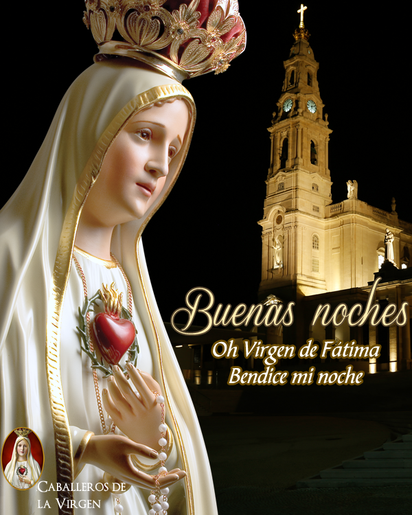Cab_Virgen's tweet photo. Buenas noches - ¡Oremos!
Gracias por todo, Madre, todo te lo agradezco de corazón, y quiero atarme a ti con amor entrañable.
¡Qué hubiese sido de nosotros sin ti, sin tu cuidado maternal! https://t.co/9ovsXgsXKV
