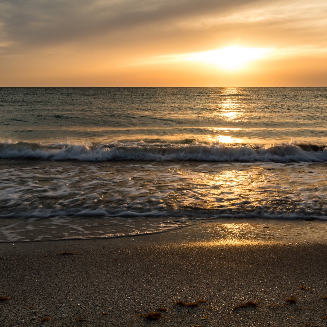 FloridaSplendor's tweet photo. Let the colors of the setting sun paint your evening at Sunset Beach! 🌅🏖️ 

Share your Sunset Beach experience below!

#SunsetSplendor #BeachMagic #NatureColor #GoldenHourGlow https://t.co/yHxyF56Bvb