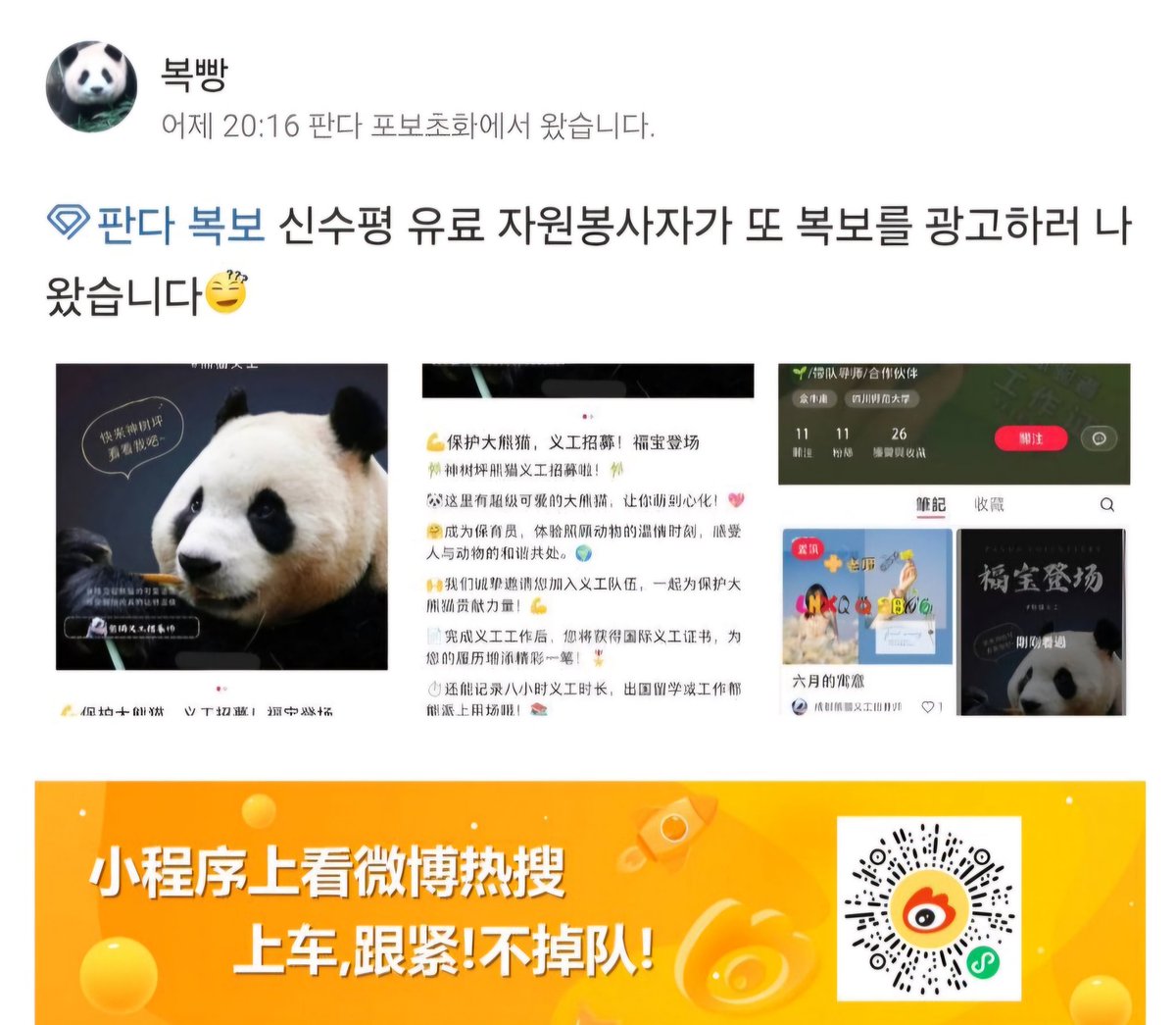 save__fubao's tweet photo. 오랜만에 혈중 푸농도 차올라서 행복했는데 바로 이렇게 두통수를 때리네
그래서 계속 요구해야한다
지들말로는 직접 만지는건 없다고 하지만 믿을수가 있어야지
#푸바오 #Fubao #savefubao #접객금지 #건강상태피드백 #24hrcctv https://t.co/XVhK95Wu5l
