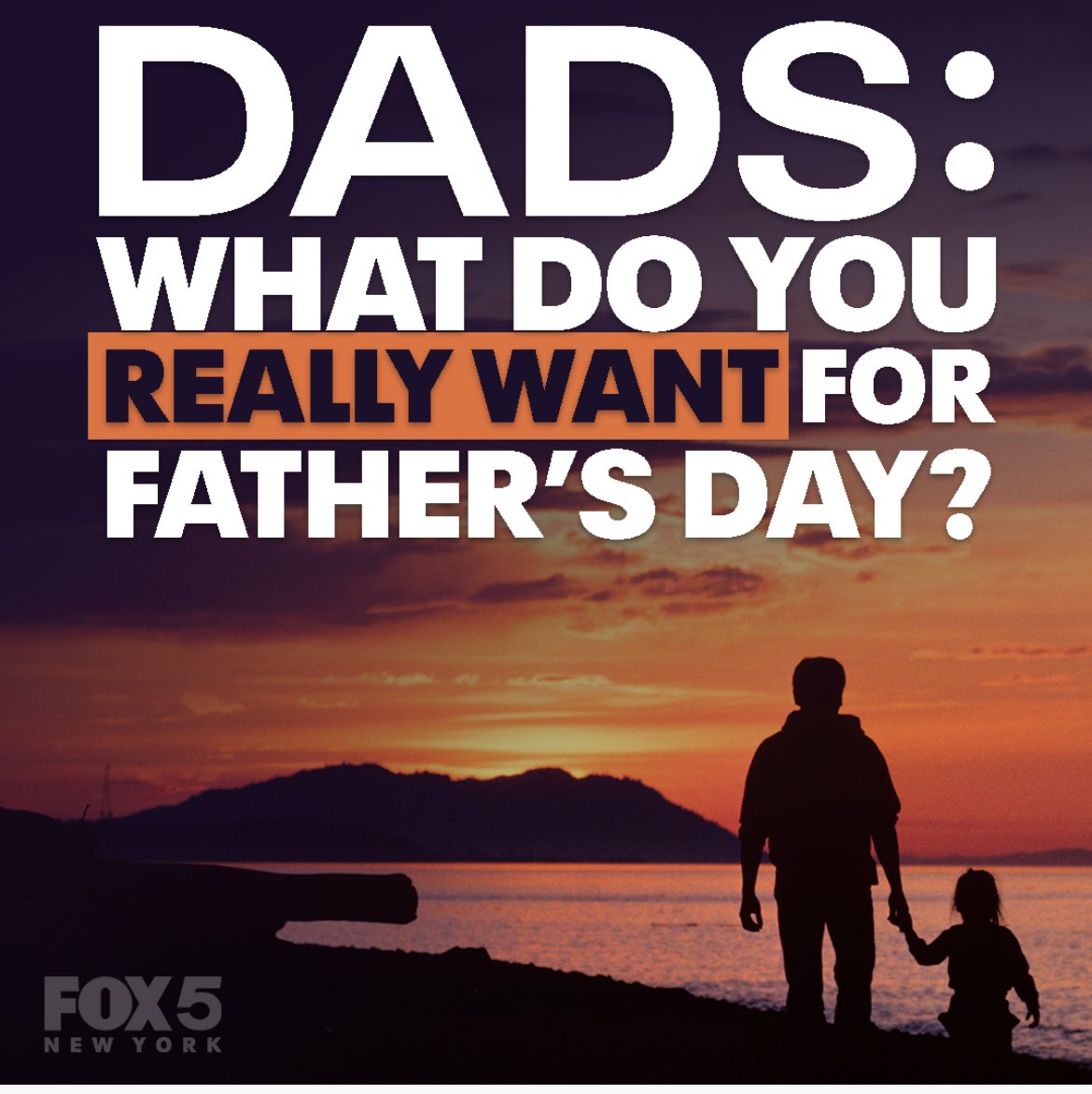 JOSE SALVADOR tweet media